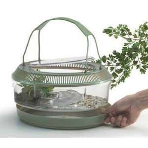  Lees Aquarium and Pet Firebelly Landing with Tray and Lid 