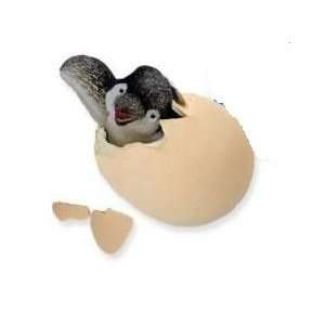  GeoCentral Hatchems Penguin Egg Growing Pet: Toys & Games
