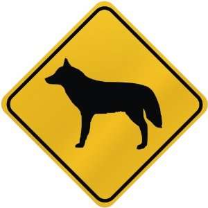  ONLY  WOLFDOG  CROSSING SIGN DOG: Home Improvement