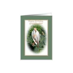  Granddaughters Birthday Card with Cattle Egret Card: Toys 