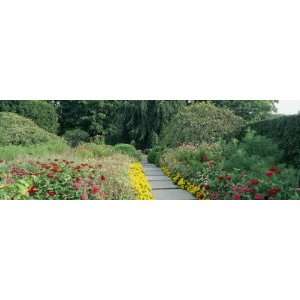 Flower Bed in a Formal Garden, Cantigny Gardens and Museums, Wheaton 