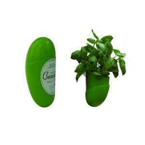  Beanpod Window Mounted Herb Growing Kit, Your Very Own 