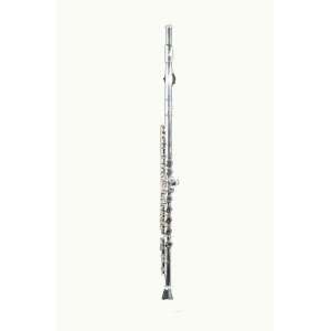 Chateau C Flute CFL 2002S: Musical Instruments