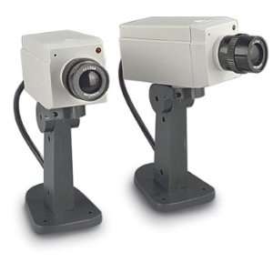  2 Motion Sensing Dummy Cams