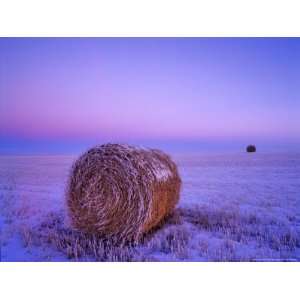 Winter Straw Bales near Cartwright, North Dakota, USA Art Photographic 