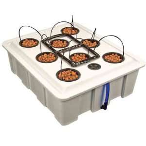   Products The Drip Feed DWC Hydroponic System: Patio, Lawn & Garden