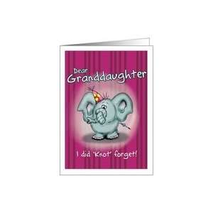   Granddaughter Elephant   I did knot forget! Card: Toys & Games