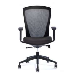    All Seating Viva Midback Mesh Office Chair: Office Products