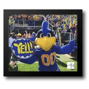 YoUDee Mascot of the University of Delaware Blue Hens, 2008 14x12 