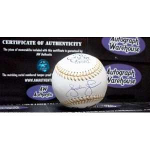  Andruw Jones Rawlings Gold Glove Autographed Baseball 