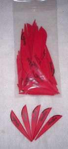 NAP Quikspin Plastic Arrow Vanes 2.25 Red Pkg 42  
