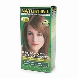  Hair Color 6g Dark Golden Blonde: Health & Personal Care