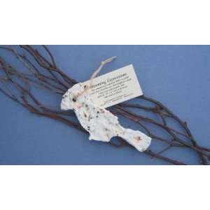  Cast Paper Art Ornament Cardinal Recycled Cotton Fiber Flowers Seeds 
