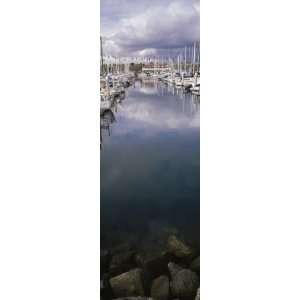  Boats Docked at a Harbor, San Pedro, California, USA by 