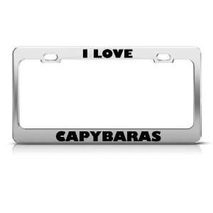  I Love Capybaras Capybara Animal Metal license plate frame 