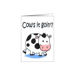  Cow Funny Humor Friendship Miss You Paper Greeting Card 