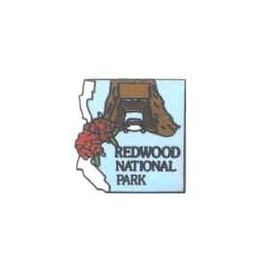  Redwood National Park Pin: Sports & Outdoors