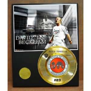 com David Beckham LA Galaxy Wide World of Sports STAT Plaque   Sports 