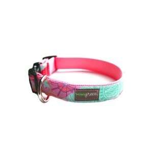  Molly Collar and Leash