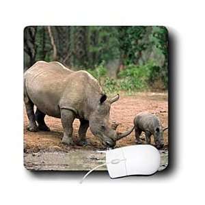  Wild animals   Black Rhino, Rhinoceros   Mouse Pads Electronics