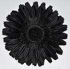 Black Gerbera Daisy Silk Flower Brooch Hat Pin