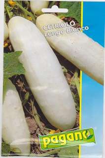 Cetriolo Lungo Bianco Long White Cucumber Seeds 5 grams  