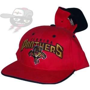 Florida Panthers Vintage Red Snapback Hat Cap: Everything 