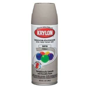    Decorator Indoor/Outdoor Aerosol Spray Paint: Home Improvement