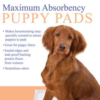 CLEARQUEST MAX ABSORBENT PUPPY HOUSE TRAINING PADS 7 CT  