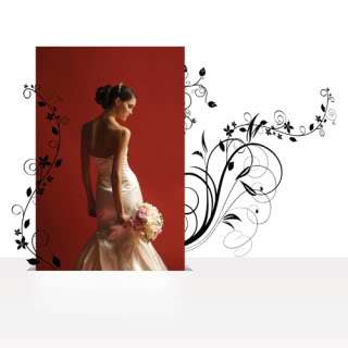 These Beautiful Wedding Photo Templates (psd format on 4 DVDs)