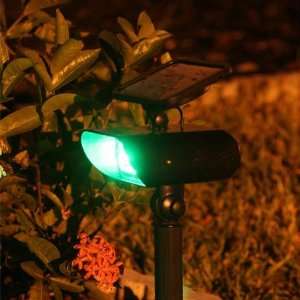   Powered Garden and Walkway Green Spot Light: Patio, Lawn & Garden