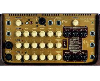 Traynor AM Custom Acoustic Instrument Amplifier PROAUDIOSTAR  