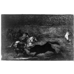 Spanish nobleman,lance,bull fight,Francisco Goya,c1801
