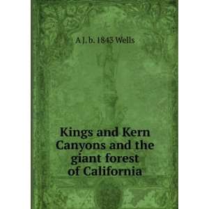   Canyons and the giant forest of California A J. b. 1843 Wells Books