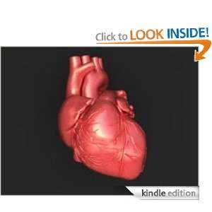 Heart Disease Facts And Information Brenda Van Niekerk  