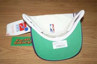Vintage Toronto Raptors Sports Specialties snapback hat NWT Camby 