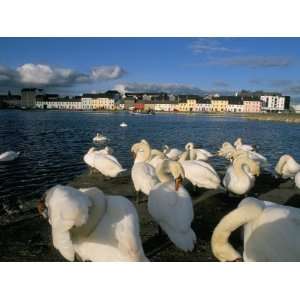  Long Walk View from Claddagh Quay, Galway Town, County Galway 