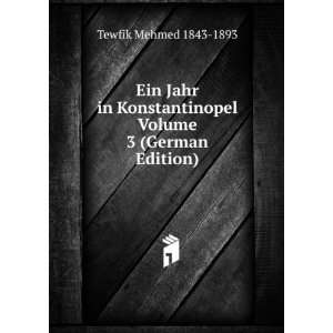  Ein Jahr in Konstantinopel Volume 3 (German Edition 