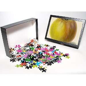   Jigsaw Puzzle of Ribstone Pippin Apple from Mary Evans: Toys & Games