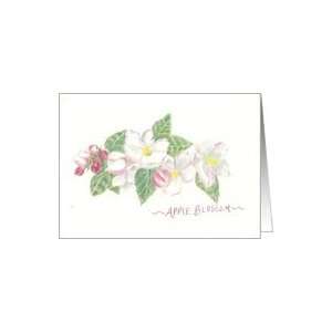  Apple Blossom in Spring Note card Card: Health & Personal 