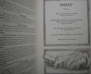   Animal BOOK / 1911 VTG VETS FARM HORSE COW SHEEP VETERINARIAN  