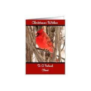 Valued Client Male Cardinal Christmas Card Card Health 