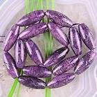 Purple Dragon Veins Banded Agate Gemstone Beads G196  