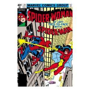  Spider Woman #20 Cover Spider Woman and Spider Man Fighting 
