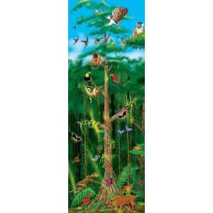   CAMERA INTERACTION LCI444 RAIN FOREST FLOOR PUZZLE Toys & Games