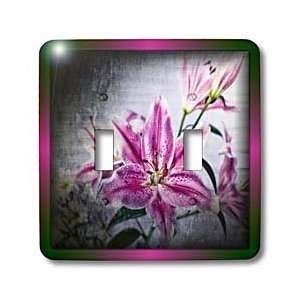 Susan Brown Designs Flower Themes   Sketching the Lily   Light Switch 