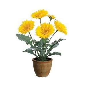  Yellow Artificial Gerber Daisy in Container