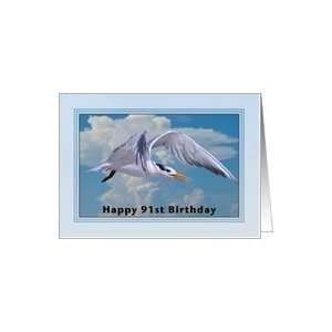  Happy Birthday, 91st Royal Tern Bird Card Toys & Games