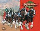 tin sign clydesdales budweiser beer advertising picture anheuser busch 