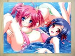 S583 Anime Girls Blush Swimsuit Pink Blue Hair POSTER  